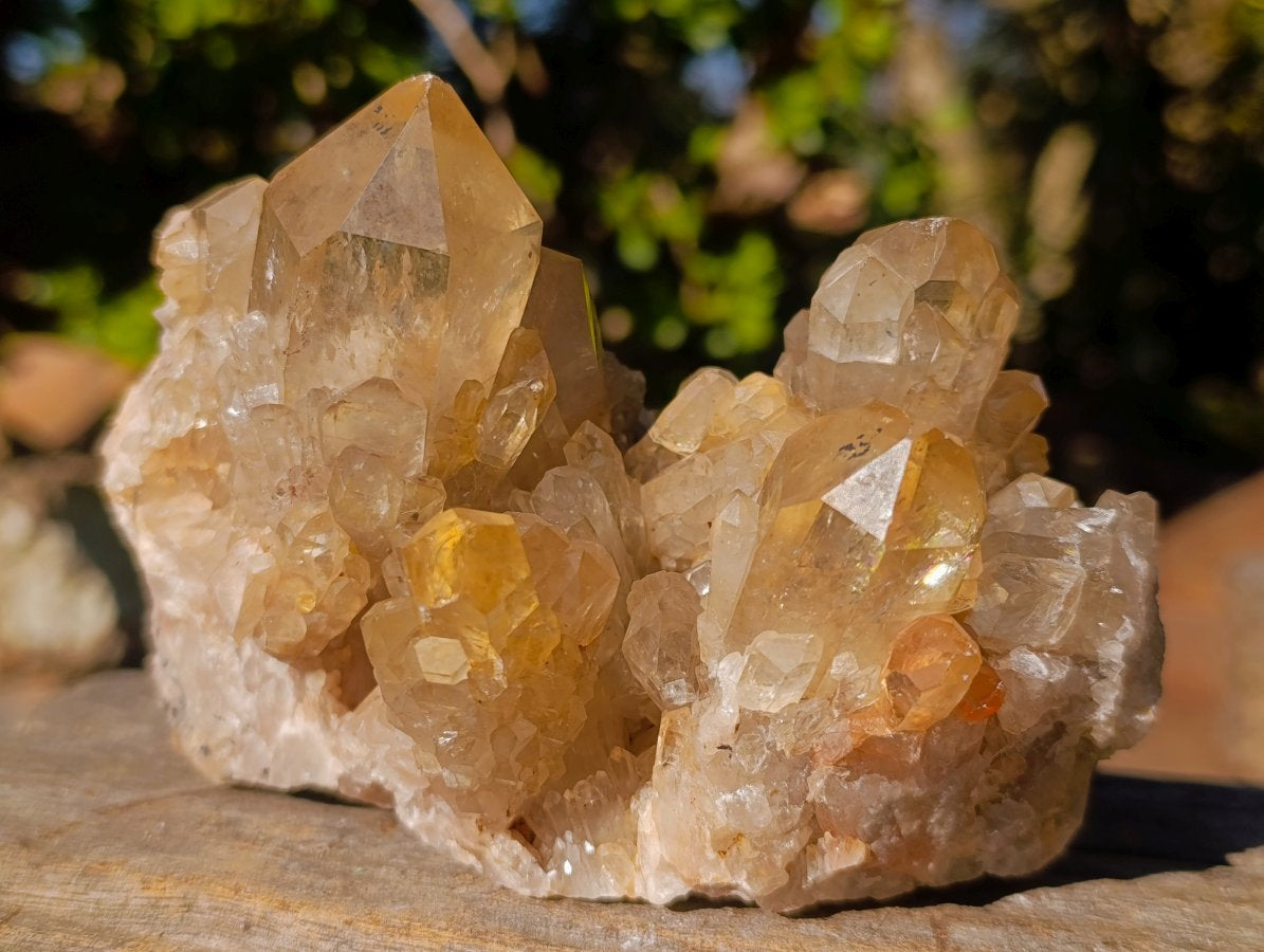 Natural Large Cascading Smokey Citrine Luena Quartz Crystal Cluster x 1 From Luena, Congo