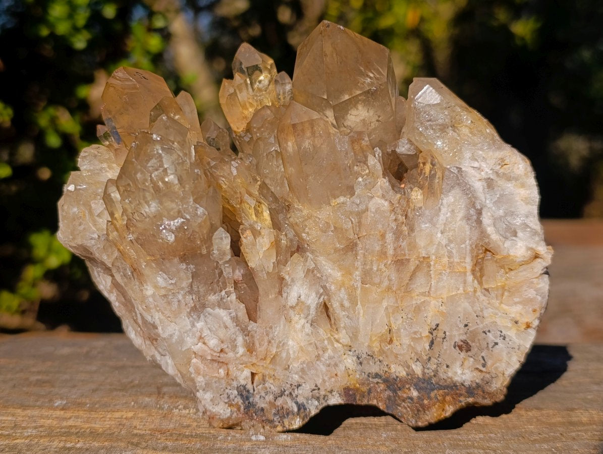 Natural Large Cascading Smokey Citrine Luena Quartz Crystal Cluster x 1 From Luena, Congo