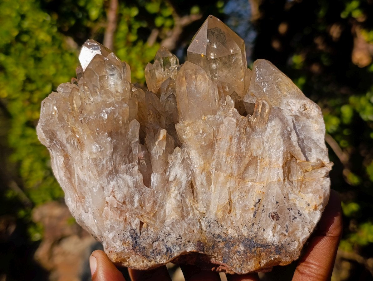 Natural Large Cascading Smokey Citrine Luena Quartz Crystal Cluster x 1 From Luena, Congo