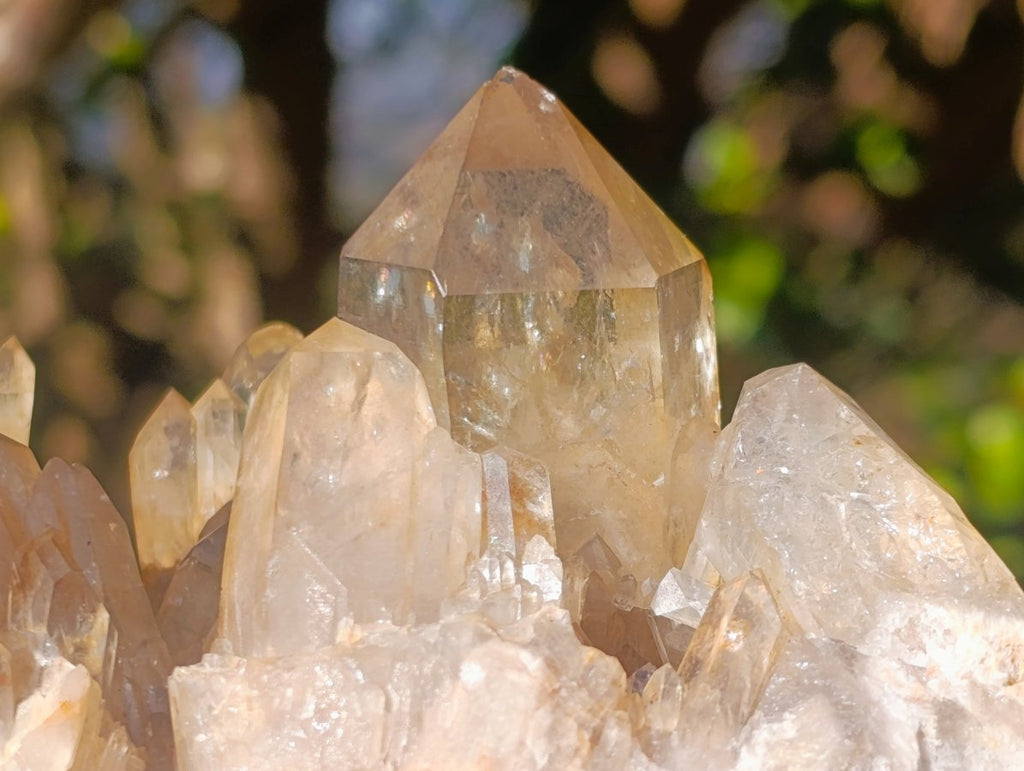 Natural Large Cascading Smokey Citrine Luena Quartz Crystal Cluster x 1 From Luena, Congo