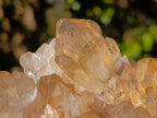 Natural Large Cascading Smokey Citrine Luena Quartz Crystal Cluster x 1 From Luena, Congo