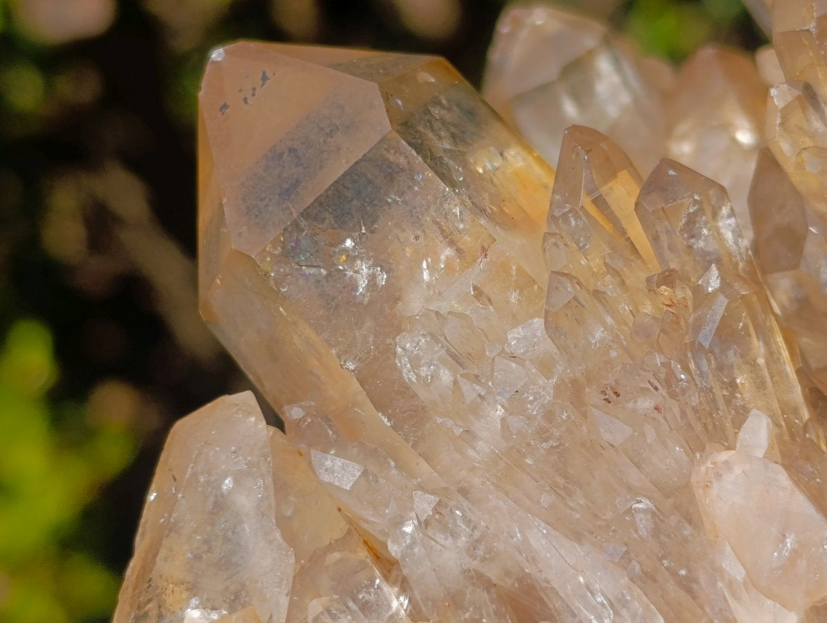 Natural Large Cascading Smokey Citrine Luena Quartz Crystal Cluster x 1 From Luena, Congo