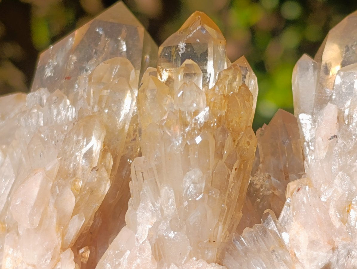 Natural Large Cascading Smokey Citrine Luena Quartz Crystal Cluster x 1 From Luena, Congo