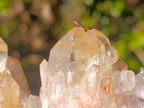 Natural Large Cascading Smokey Citrine Luena Quartz Crystal Cluster x 1 From Luena, Congo
