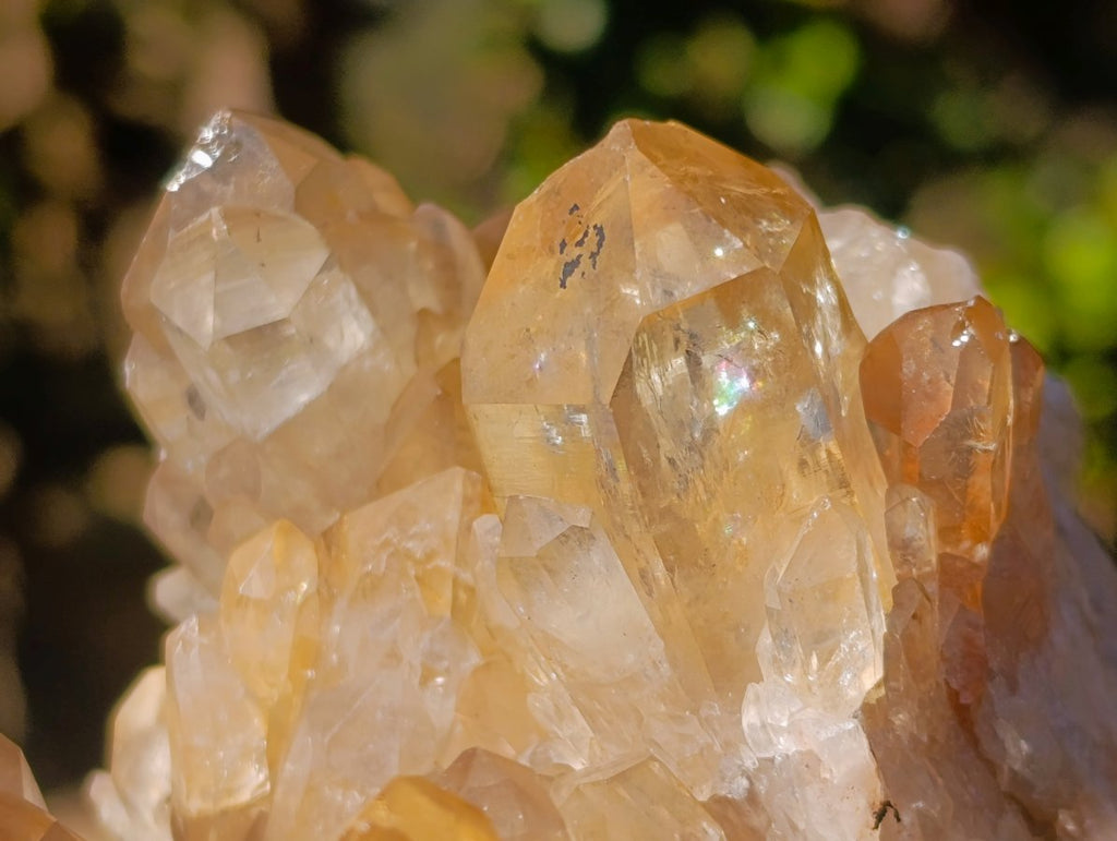 Natural Large Cascading Smokey Citrine Luena Quartz Crystal Cluster x 1 From Luena, Congo