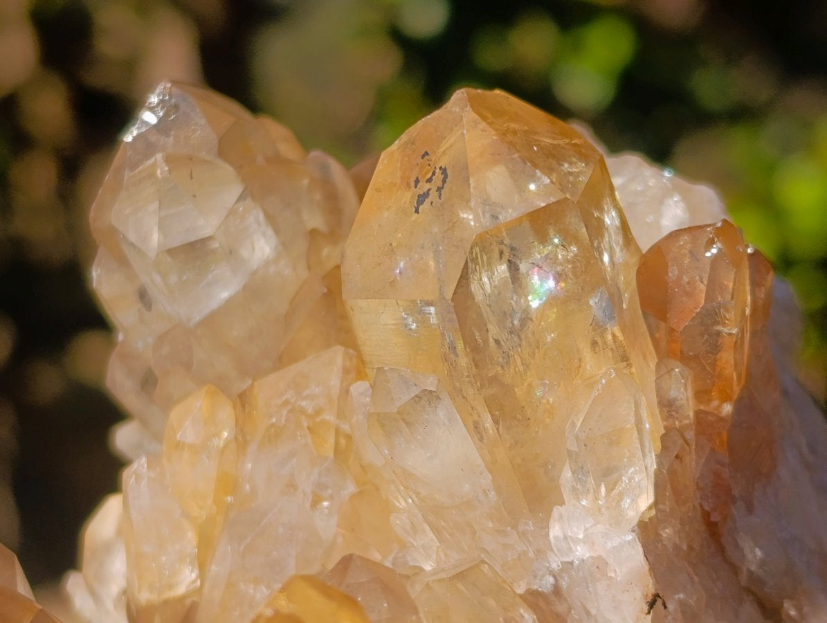 Natural Large Cascading Smokey Citrine Luena Quartz Crystal Cluster x 1 From Luena, Congo