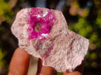 Natural Spherocobaltite Specimens x 12 From Musonoi Mine, Congo