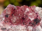Natural Spherocobaltite Specimens x 12 From Musonoi Mine, Congo