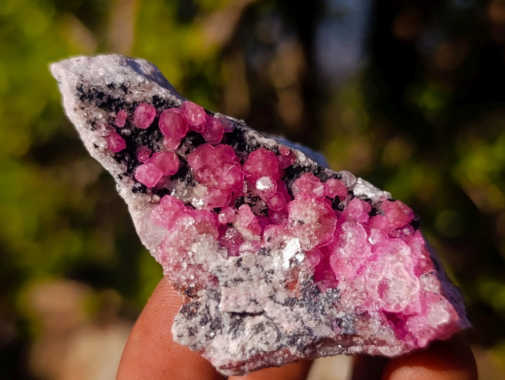 Natural Spherocobaltite Specimens x 12 From Musonoi Mine, Congo