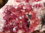 Natural Spherocobaltite Specimens x 12 From Musonoi Mine, Congo