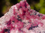 Natural Spherocobaltite Specimens x 12 From Musonoi Mine, Congo