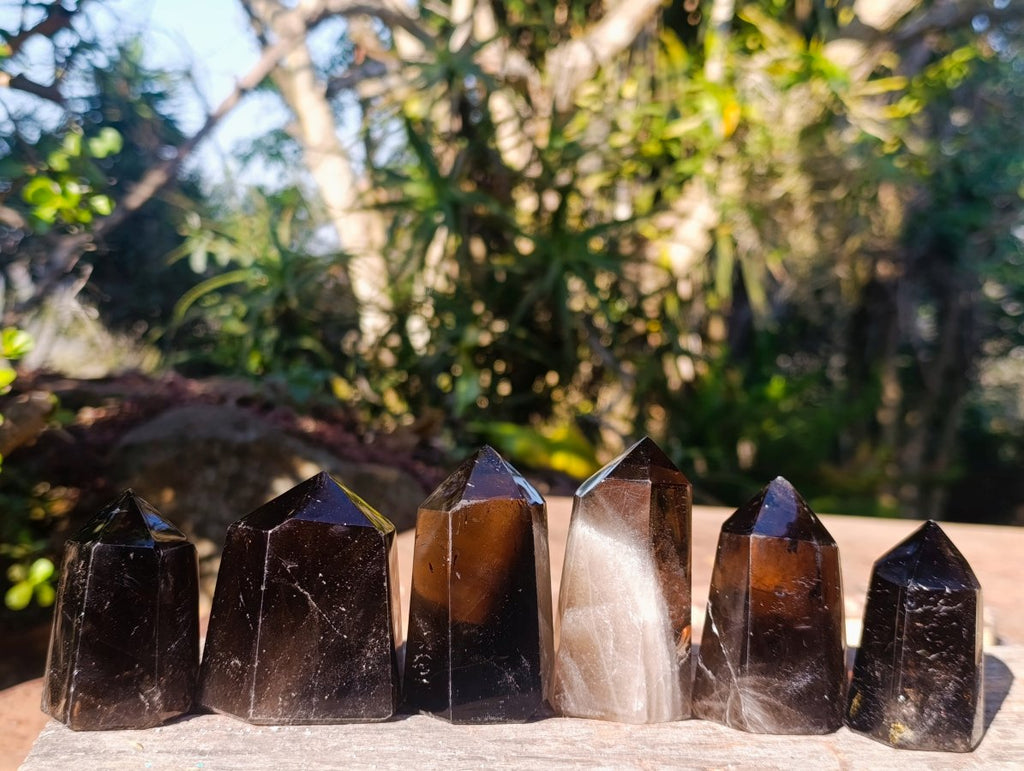 Polished Smokey Quartz Display Crystals x 6 From Madagascar