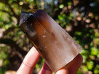 Polished Smokey Quartz Display Crystals x 6 From Madagascar