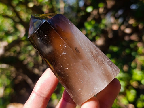 Polished Smokey Quartz Display Crystals x 6 From Madagascar