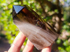 Polished Smokey Quartz Display Crystals x 6 From Madagascar