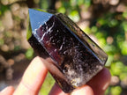 Polished Smokey Quartz Display Crystals x 6 From Madagascar