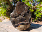 Polished and Natural Septerye Sauvage "Dragons Egg" Geodes x 2 From Mahajanga, Madagascar