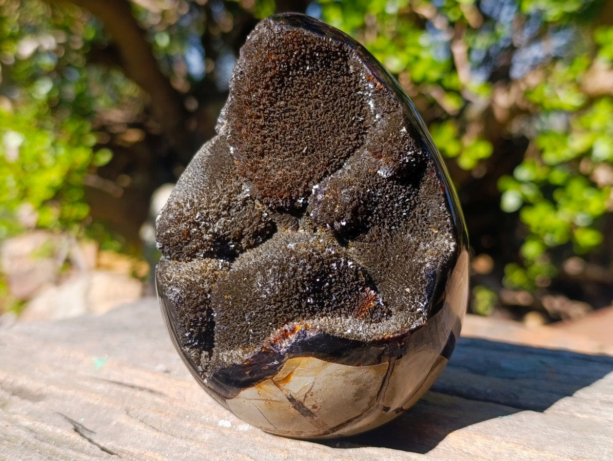 Polished and Natural Septerye Sauvage "Dragons Egg" Geodes x 2 From Mahajanga, Madagascar