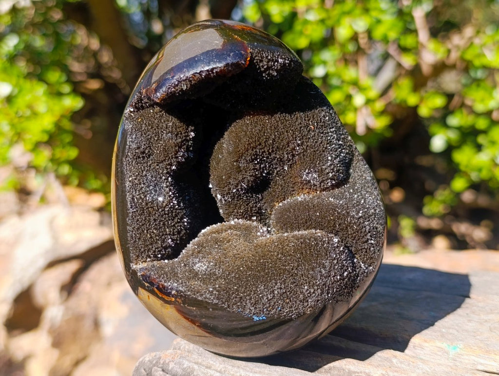 Polished and Natural Septerye Sauvage "Dragons Egg" Geodes x 2 From Mahajanga, Madagascar