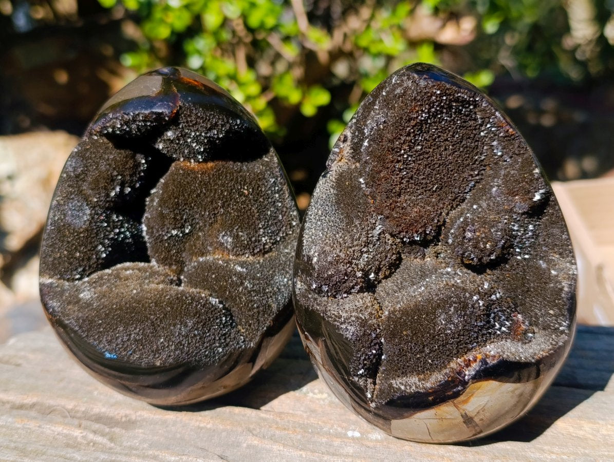 Polished and Natural Septerye Sauvage "Dragons Egg" Geodes x 2 From Mahajanga, Madagascar