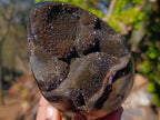 Polished and Natural Septerye Sauvage "Dragons Egg" Geodes x 2 From Mahajanga, Madagascar