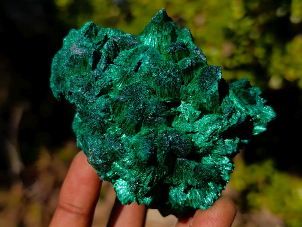 Natural Silky Malachite Specimens x 5 From Kasompe, Congo