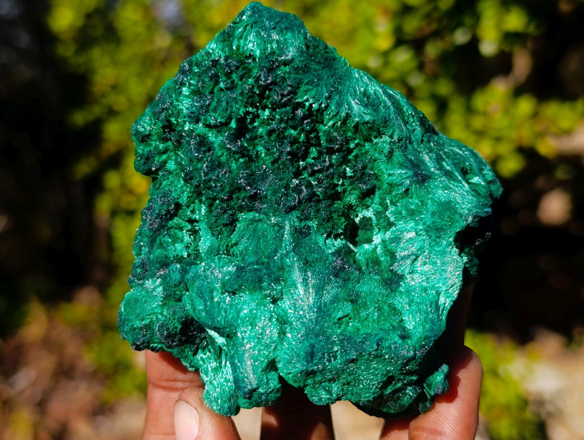 Natural Silky Malachite Specimens x 5 From Kasompe, Congo