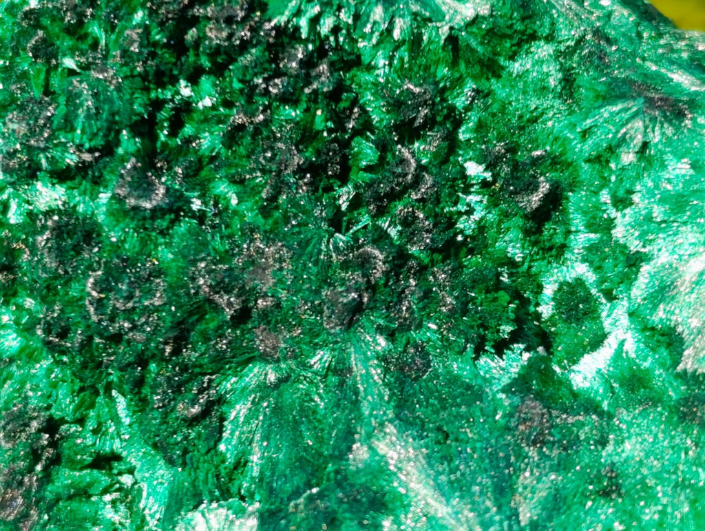 Natural Silky Malachite Specimens x 5 From Kasompe, Congo