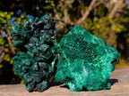 Natural Silky Malachite Specimens x 5 From Kasompe, Congo