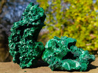 Natural Silky Malachite Specimens x 5 From Kasompe, Congo