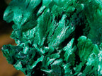Natural Silky Malachite Specimens x 5 From Kasompe, Congo
