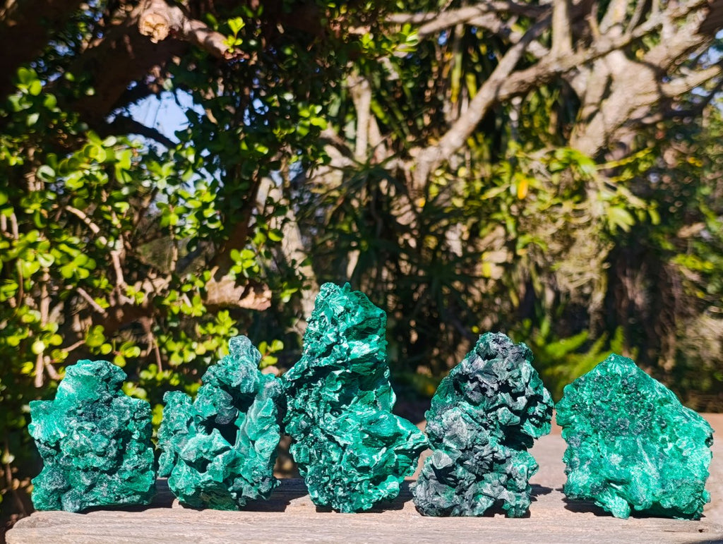 Natural Silky Malachite Specimens x 5 From Kasompe, Congo