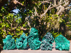 Natural Silky Malachite Specimens x 5 From Kasompe, Congo