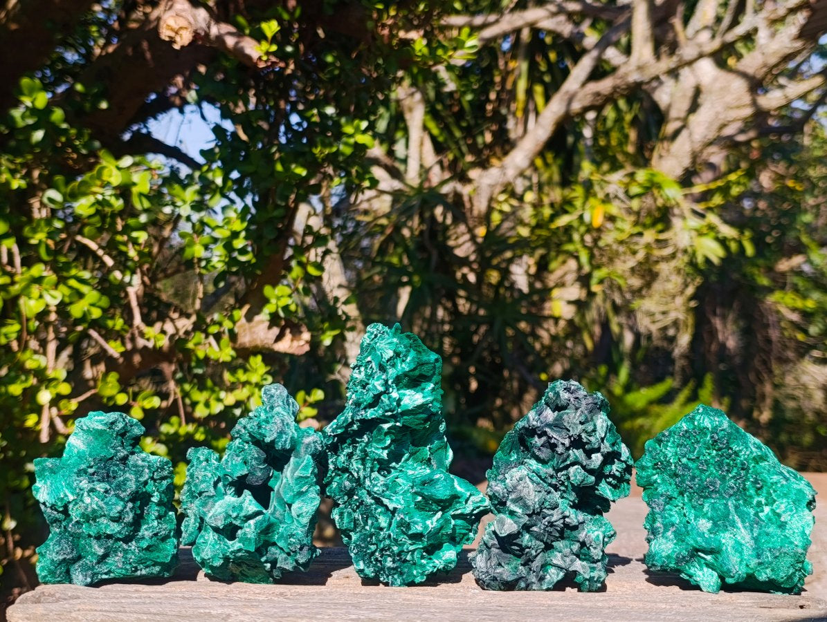 Natural Silky Malachite Specimens x 5 From Kasompe, Congo