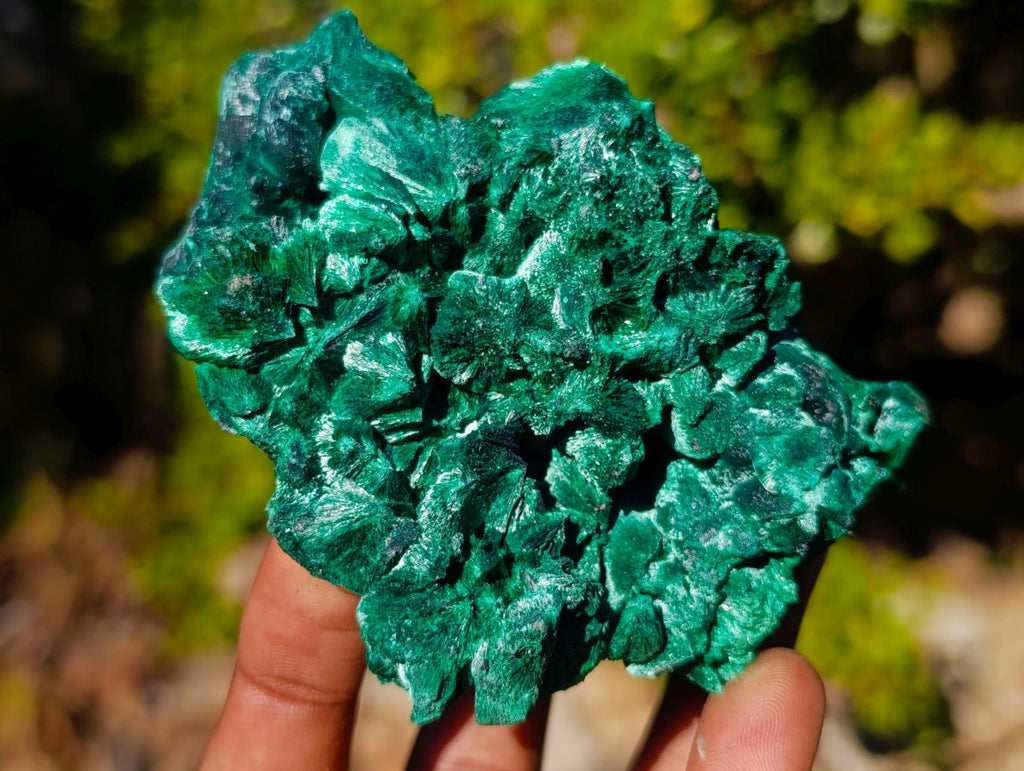 Natural Silky Malachite Specimens x 5 From Kasompe, Congo