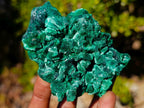 Natural Silky Malachite Specimens x 5 From Kasompe, Congo