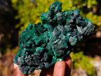Natural Silky Malachite Specimens x 5 From Kasompe, Congo