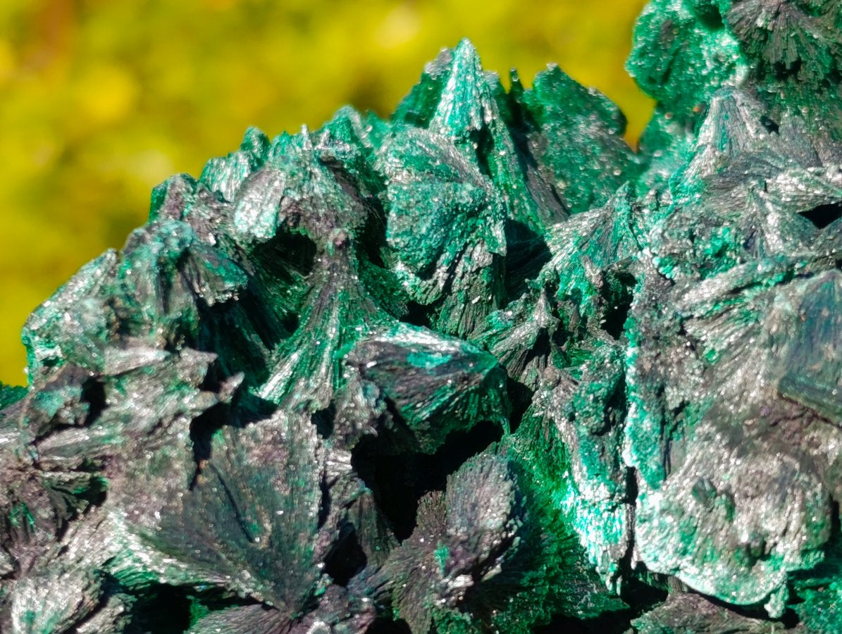 Natural Silky Malachite Specimens x 5 From Kasompe, Congo