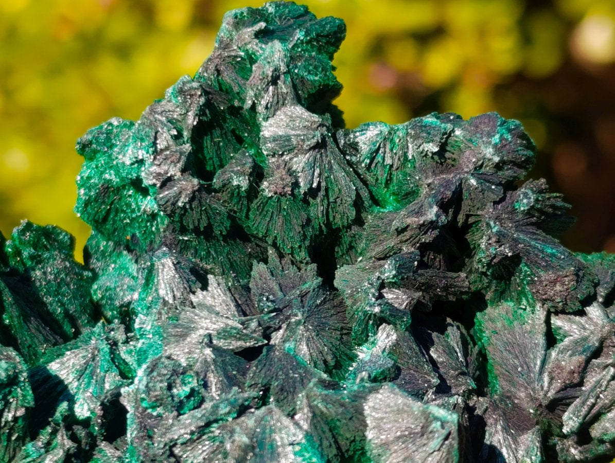 Natural Silky Malachite Specimens x 5 From Kasompe, Congo