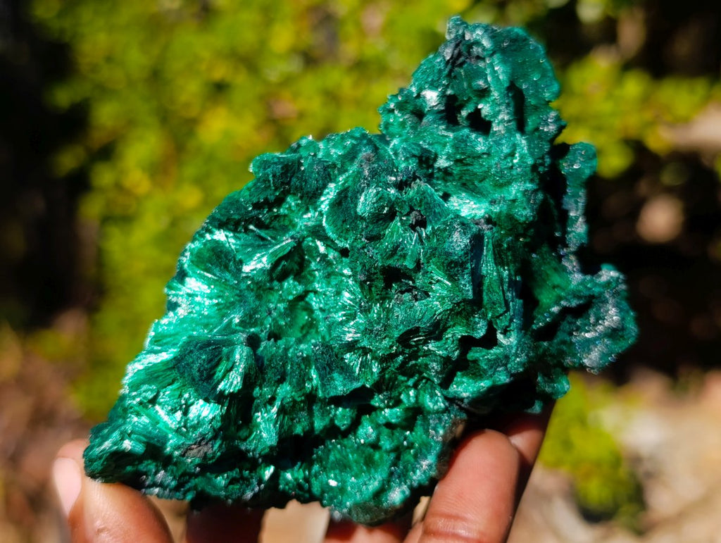 Natural Silky Malachite Specimens x 5 From Kasompe, Congo
