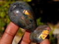 Polished Labradorite Door Handles x 12 From Madagascar