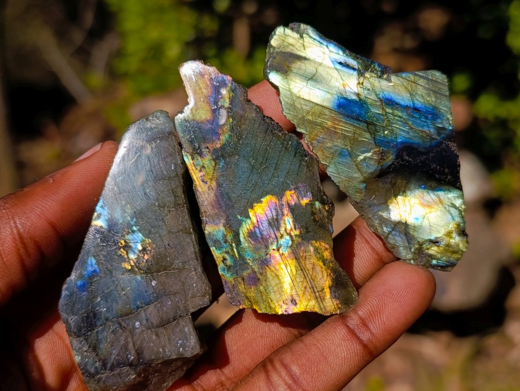 Polished One Side Labradorite Slices x 35 From Madagascar