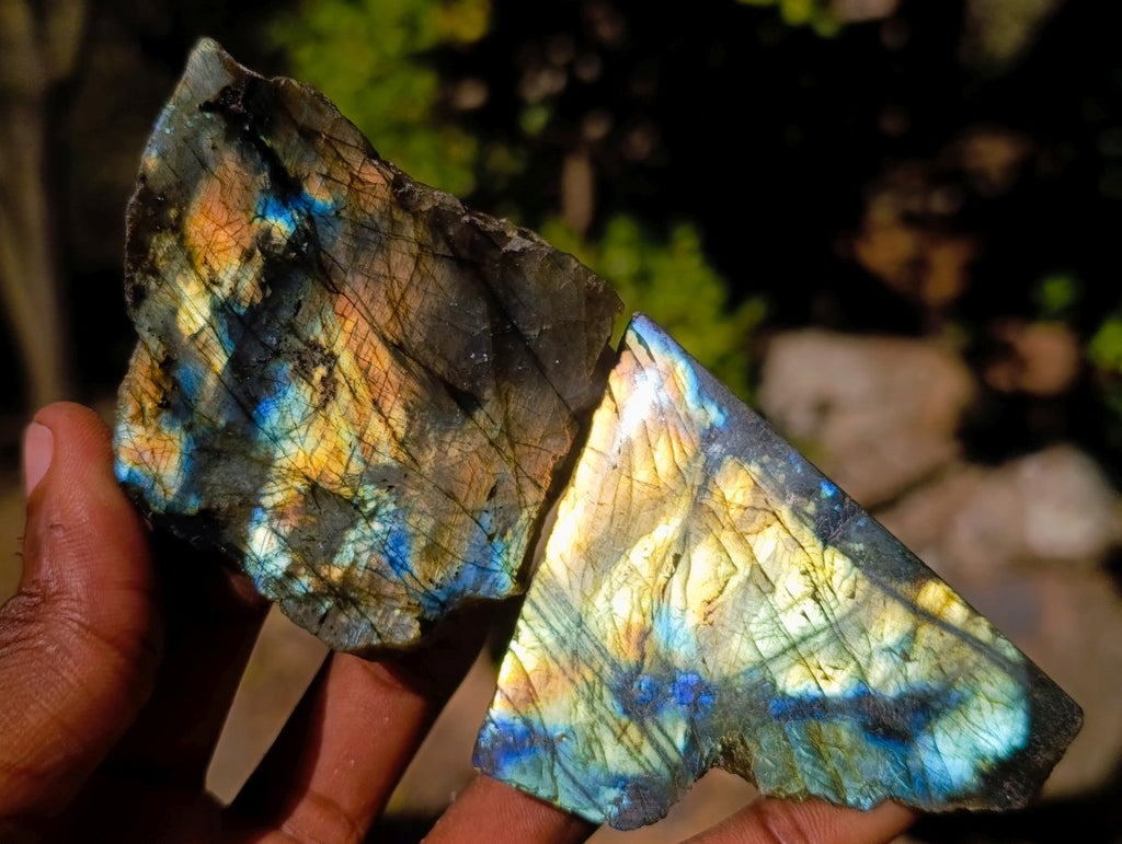 Polished One Side Labradorite Slices x 35 From Madagascar
