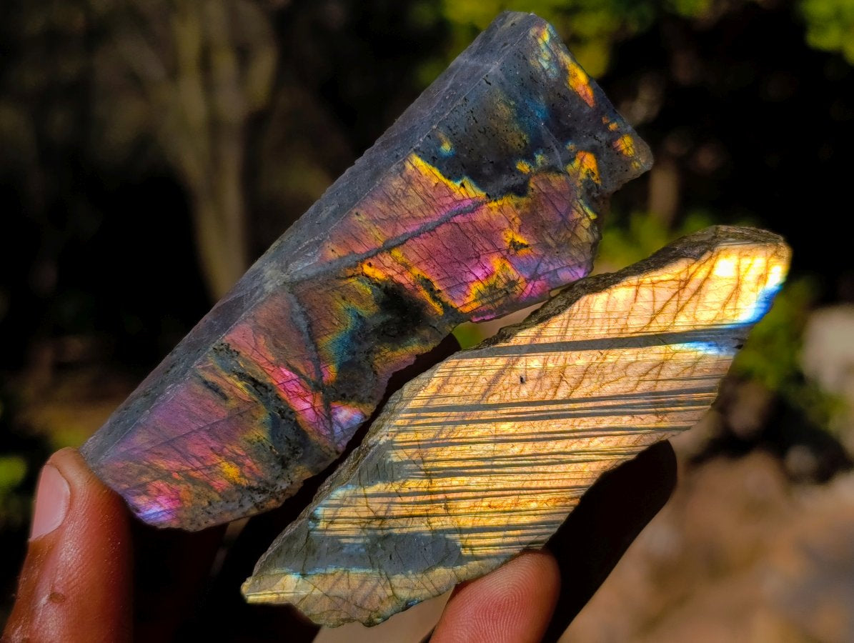 Polished One Side Labradorite Slices x 35 From Madagascar