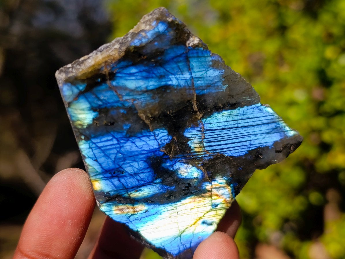 Polished One Side Labradorite Slices x 35 From Madagascar