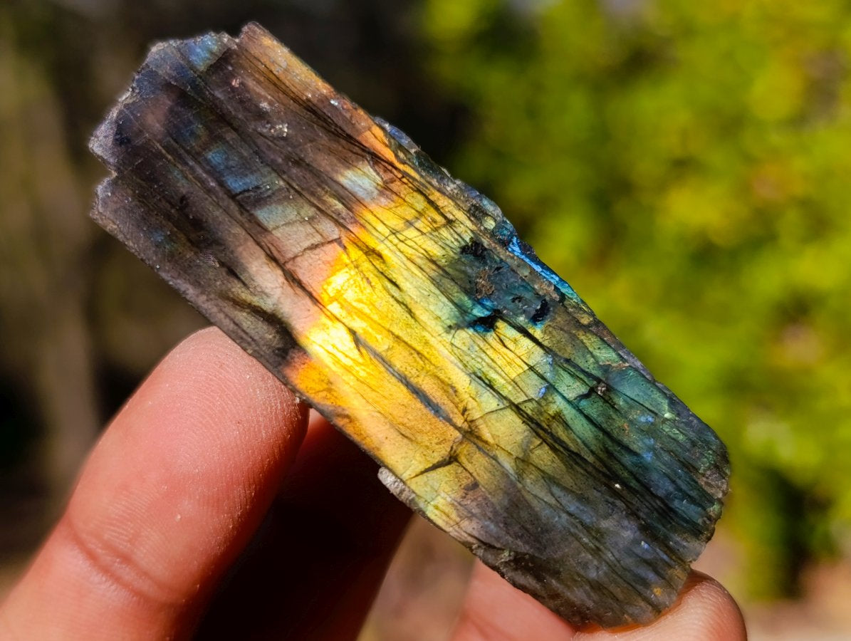 Polished One Side Labradorite Slices x 35 From Madagascar