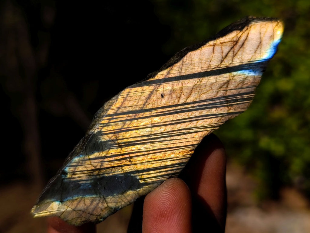 Polished One Side Labradorite Slices x 35 From Madagascar