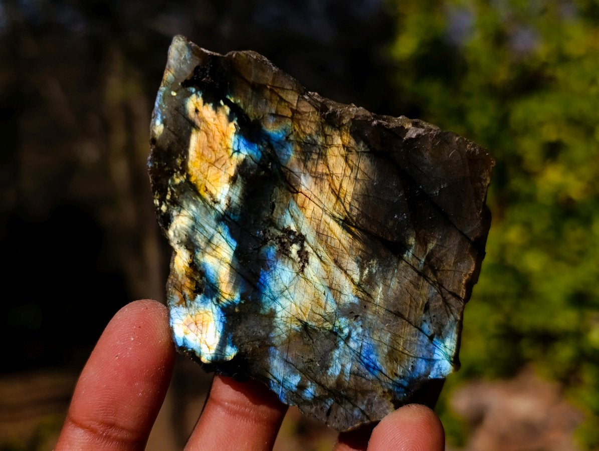 Polished One Side Labradorite Slices x 35 From Madagascar