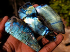 Polished One Side Labradorite Slices x 35 From Madagascar