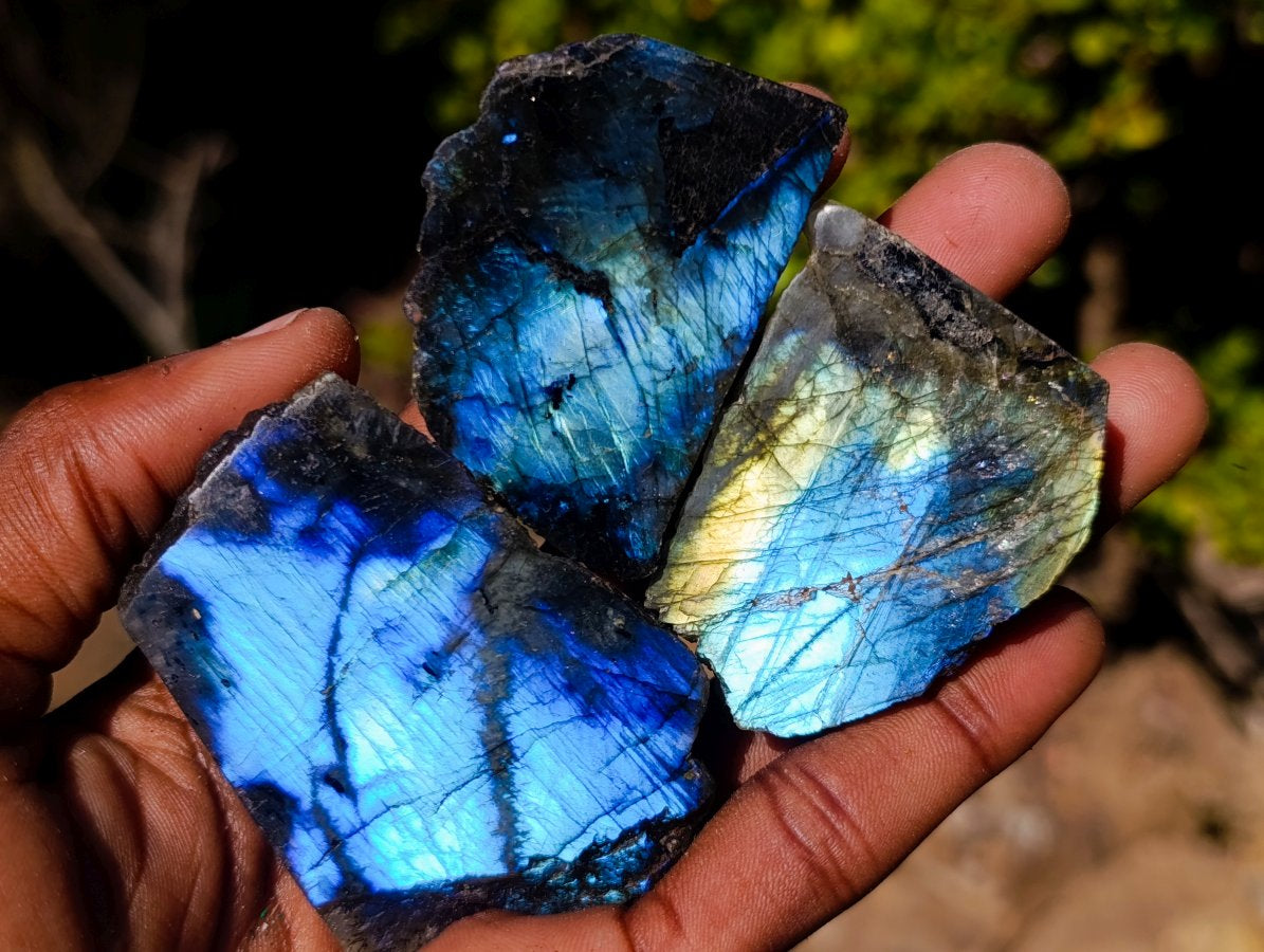 Polished One Side Labradorite Slices x 35 From Madagascar
